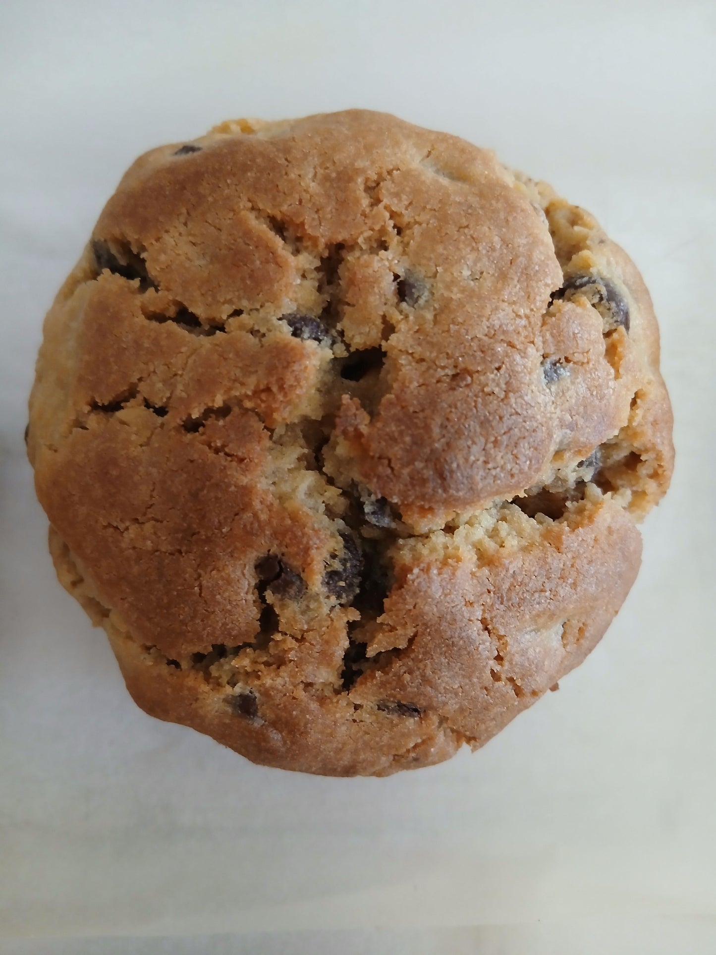 The New York Style Choc-Chip & Walnut Cookie